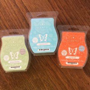 Bundle of 3 Scentsy Wax Bars